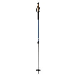Fischer BC Vario Ski Poles By Fischer