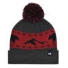 Flylow Revival Pom Beanie By Flylow -Skiing Equip Shop 81493