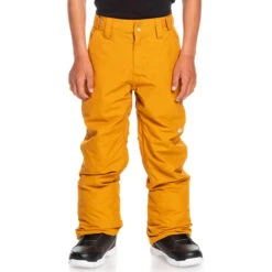 Quiksilver Estate Youth Pant - Boy's By Quiksilver